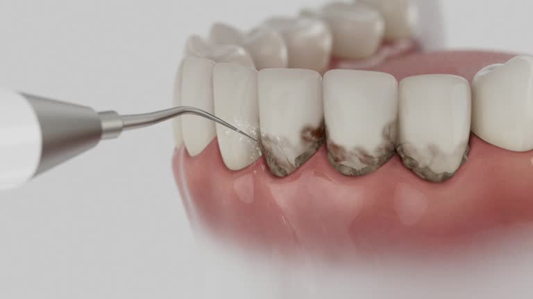 Reliable Dental contractor in Scaggsville, MD by Dentist Open Now
